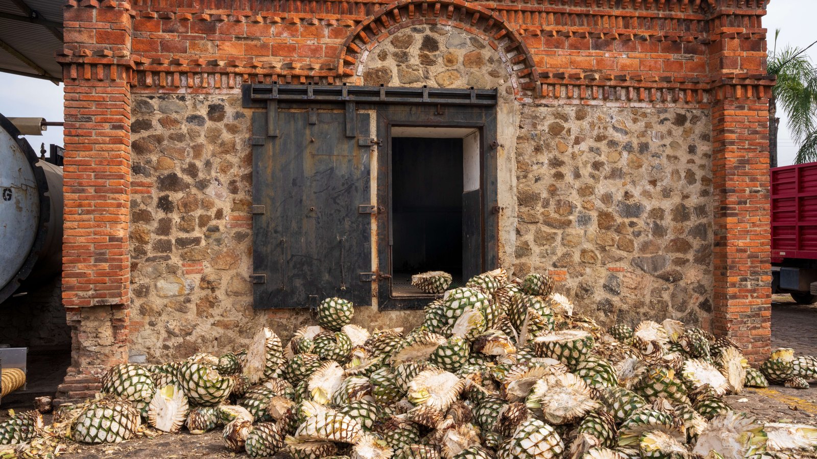 Tequila Monreal