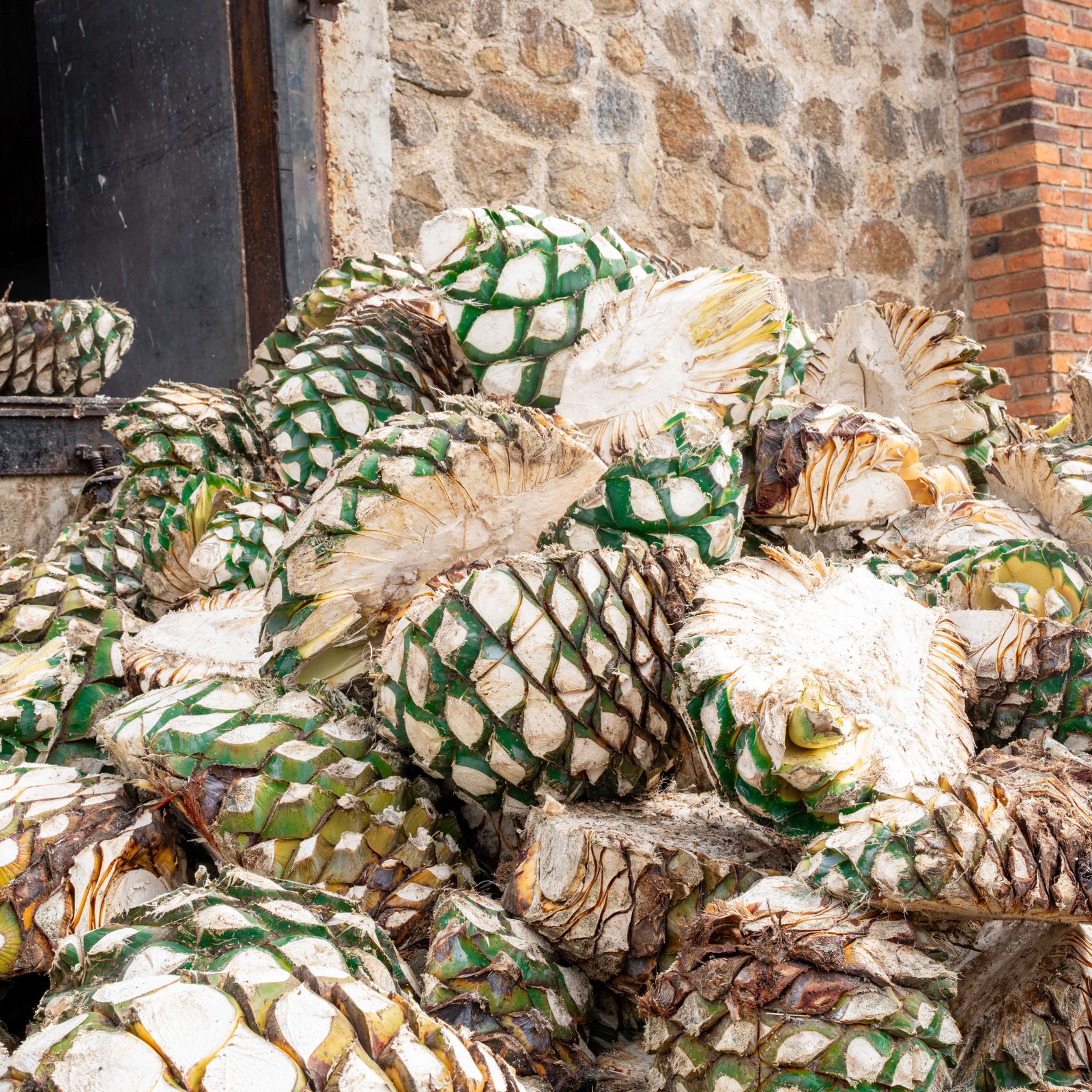Tequila Monreal